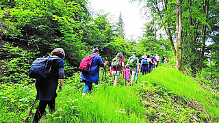 Geführte Wanderung durch den Thüringer Wald  © Thomas Schütze