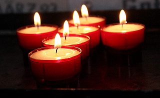 © Adobe Stock / Reikara