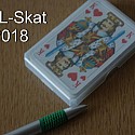 skat-2018 01