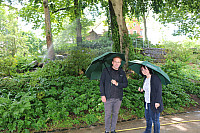 Vollständige Nachricht